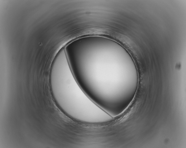 X0000097911081200803141024