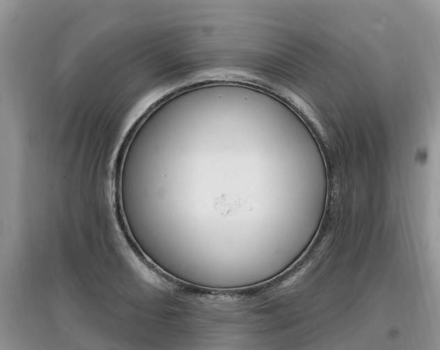 X0000097911082200803141024
