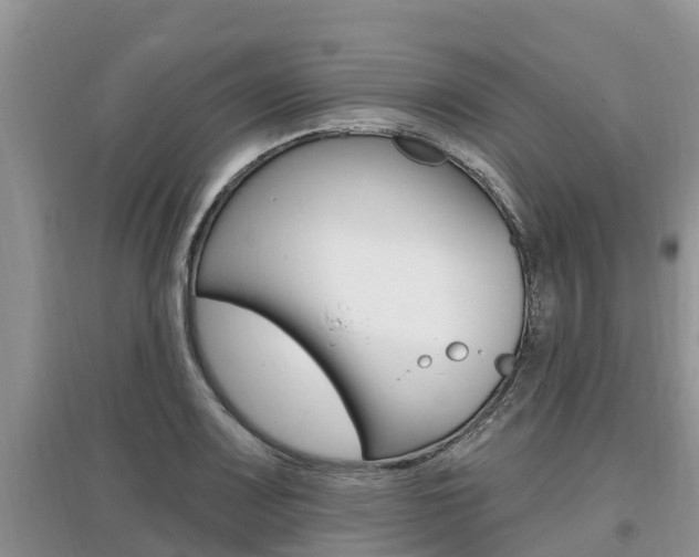 X0000097911083200803141024