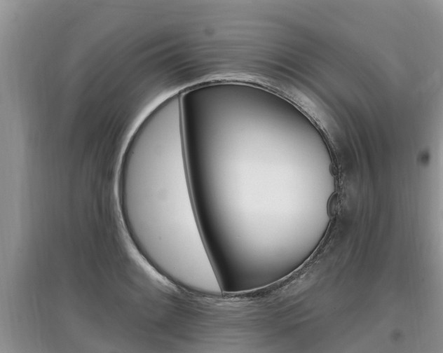 X0000097911084200803141024