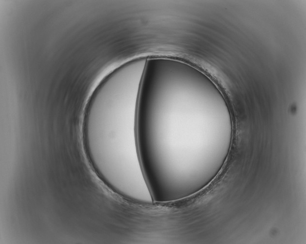 X0000097911085200803141024