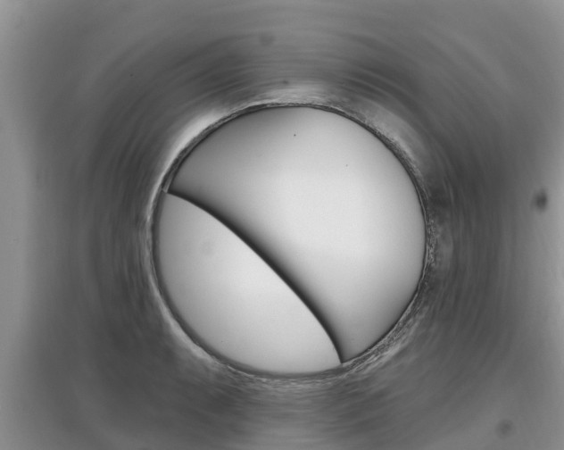 X0000097911087200803141024