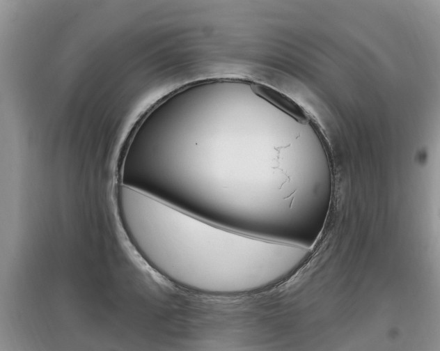 X0000097911088200803141024