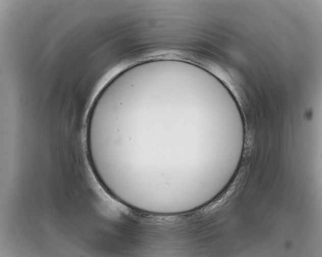 X0000097911090200803141024