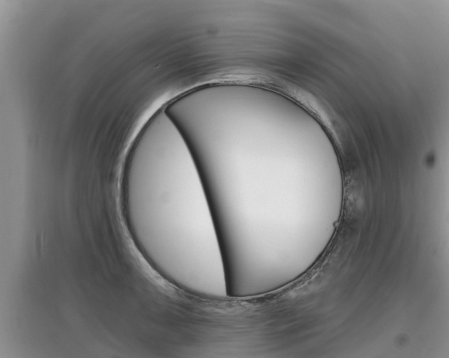 X0000097911091200803141024