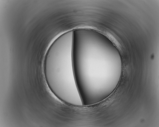 X0000097911092200803141024