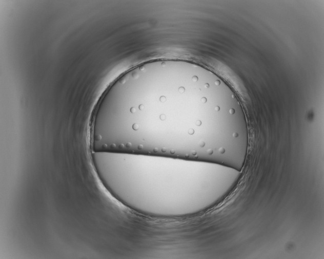 X0000097911095200803141024