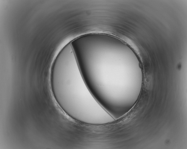 X0000097911096200803141024