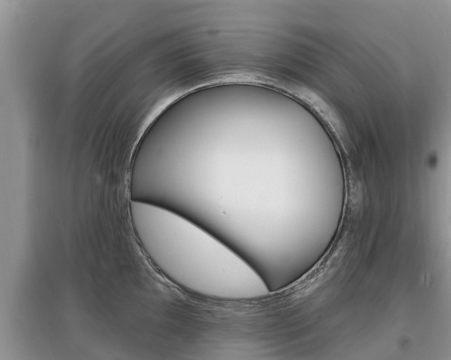 X0000097911097200803141024