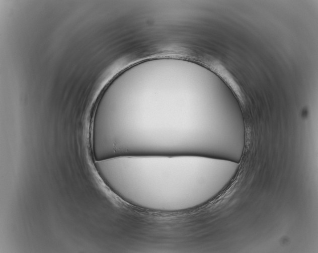 X0000097911099200803141024