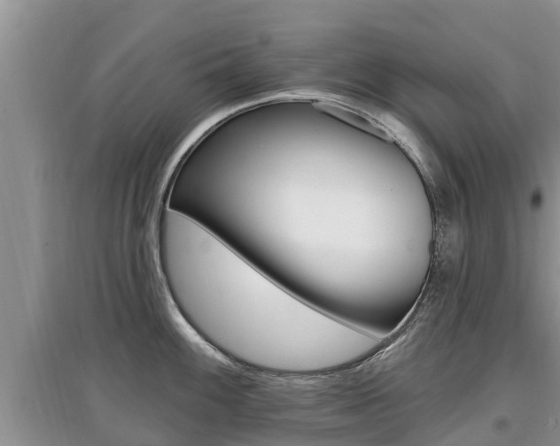 X0000097911100200803141024