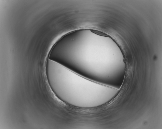 X0000097911102200803141024
