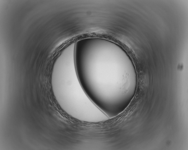 X0000097911112200803141023