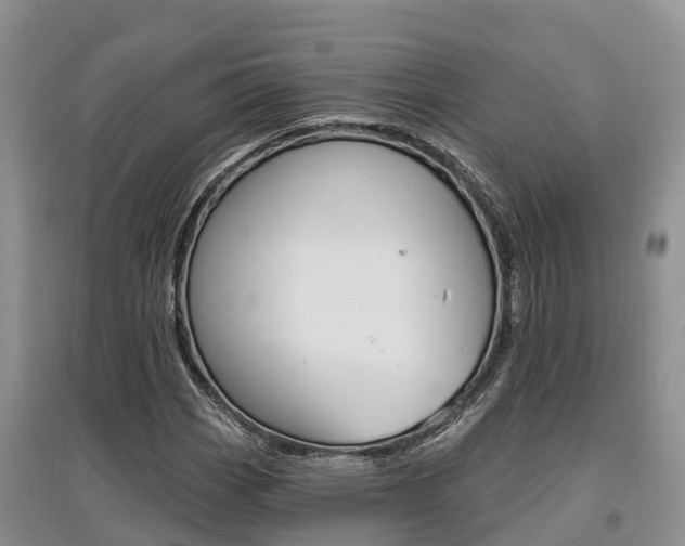 X0000097911113200803141023