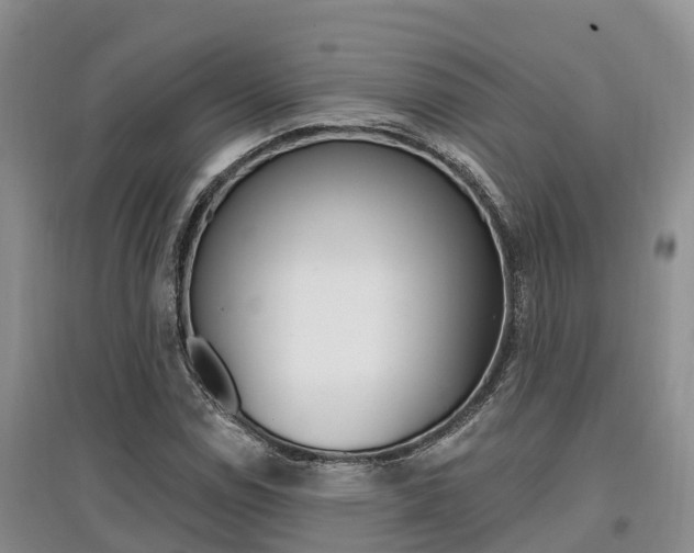 X0000097911114200803141023