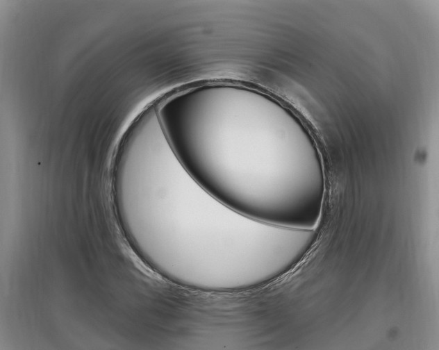 X0000097911116200803141023