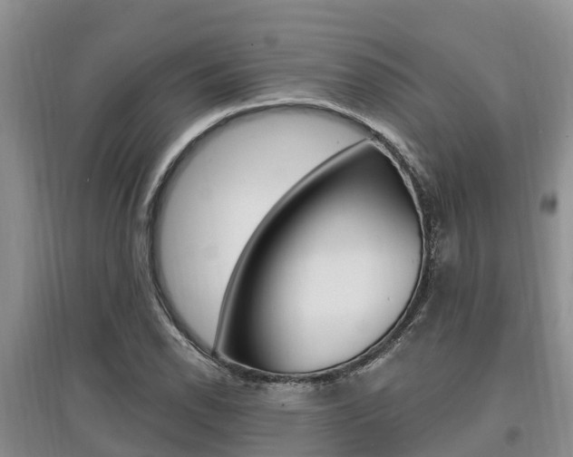 X0000097911118200803141023