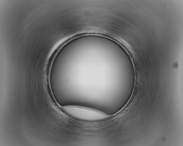 X0000097911120200803141023