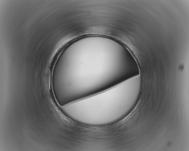 X0000097911123200803141023