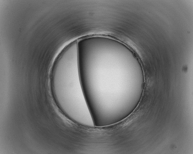X0000097911124200803141023
