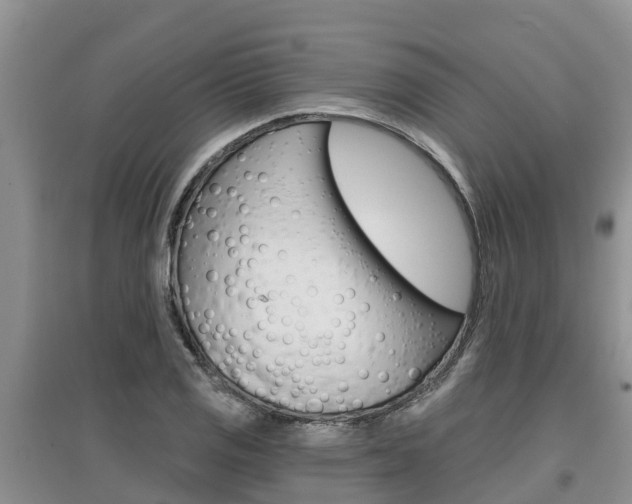 X0000097911125200803141023