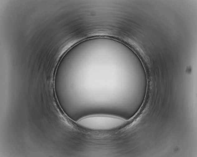 X0000097911129200803141023