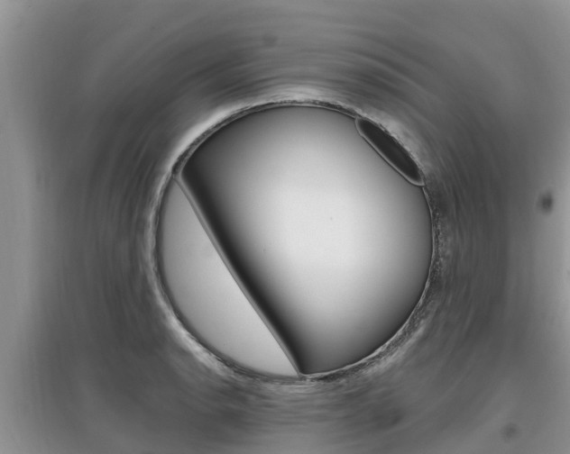 X0000097911134200803141023