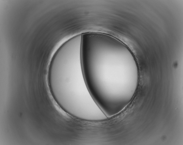 X0000097911136200803141023