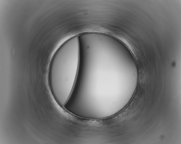 X0000097911139200803141023