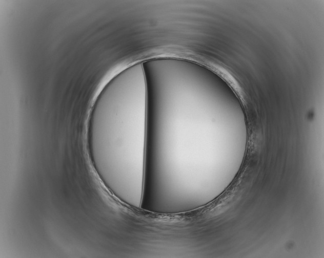 X0000097911146200803141024