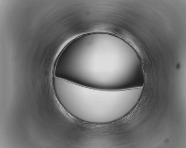 X0000097911148200803141024