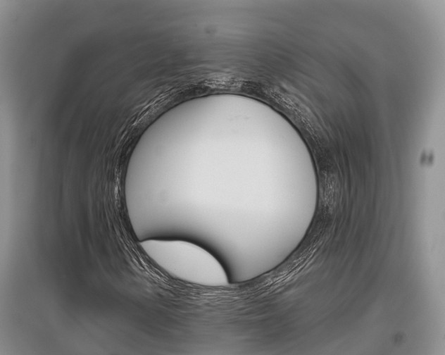 X0000097911154200803141023
