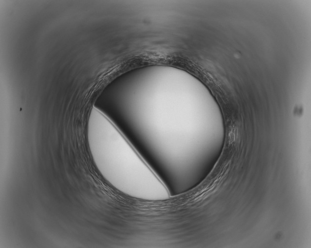 X0000097911156200803141023