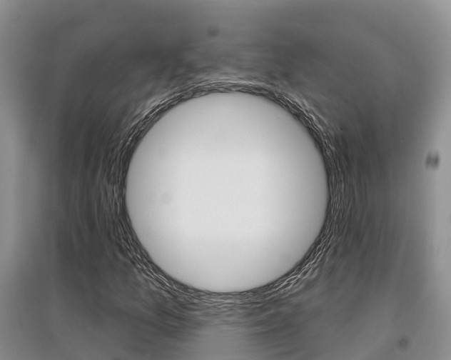 X0000097911157200803141023
