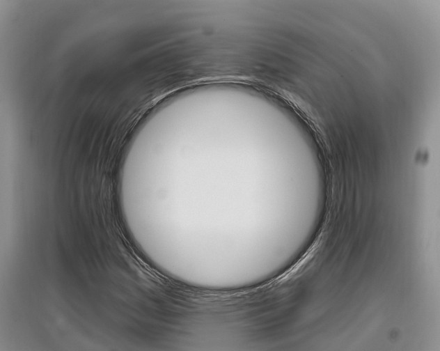 X0000097911161200803141023