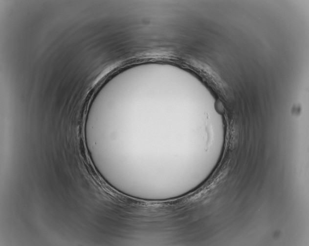 X0000097911162200803141023