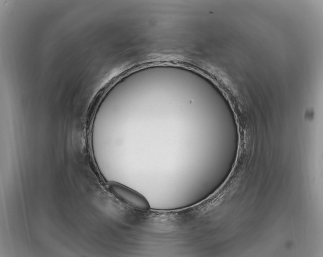 X0000097911165200803141023
