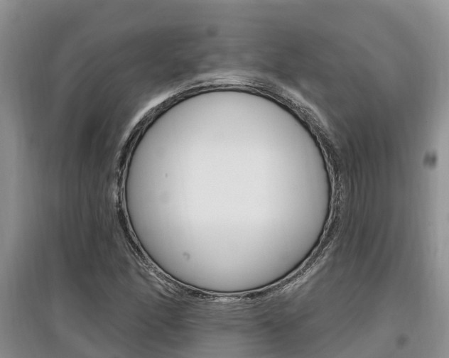 X0000097911166200803141023