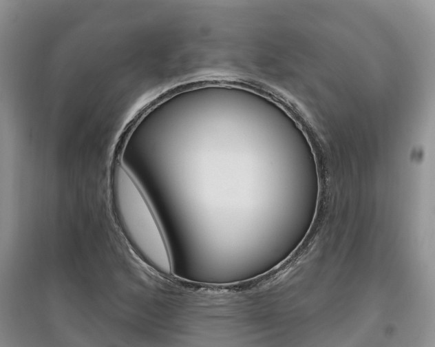 X0000097911168200803141023