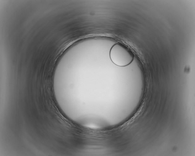 X0000097911169200803141023