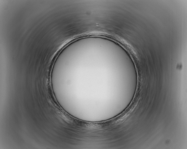 X0000097911170200803141023