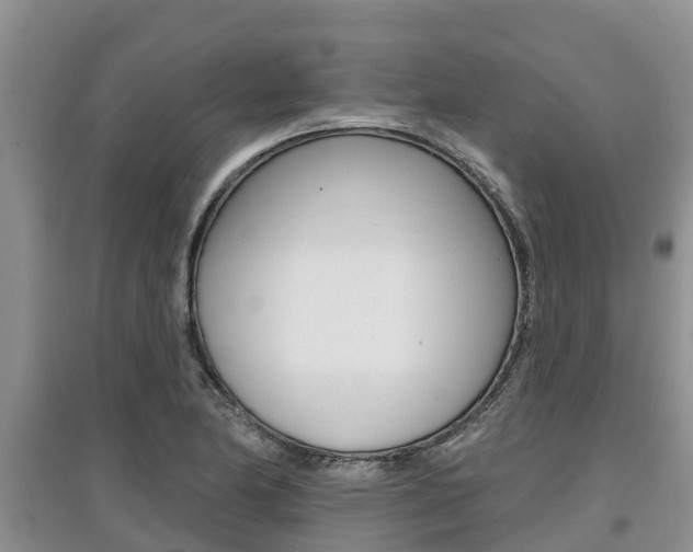 X0000097911174200803141023