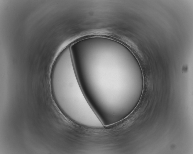 X0000097911176200803141023