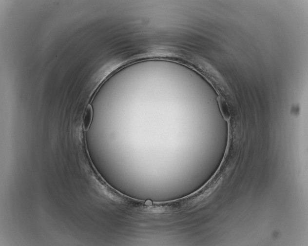 X0000097911177200803141023