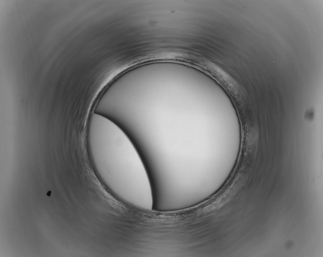 X0000097911178200803141023