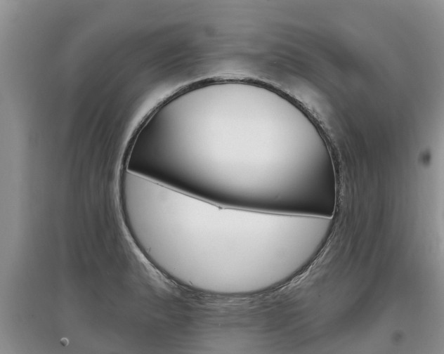 X0000097911183200803141023