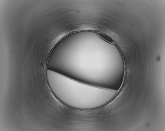 X0000097911185200803141022