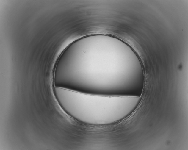 X0000097911187200803141022
