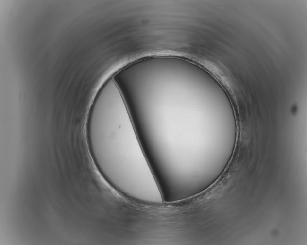 X0000097911189200803141022