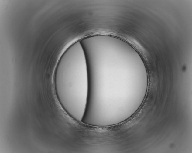 X0000097911190200803141022